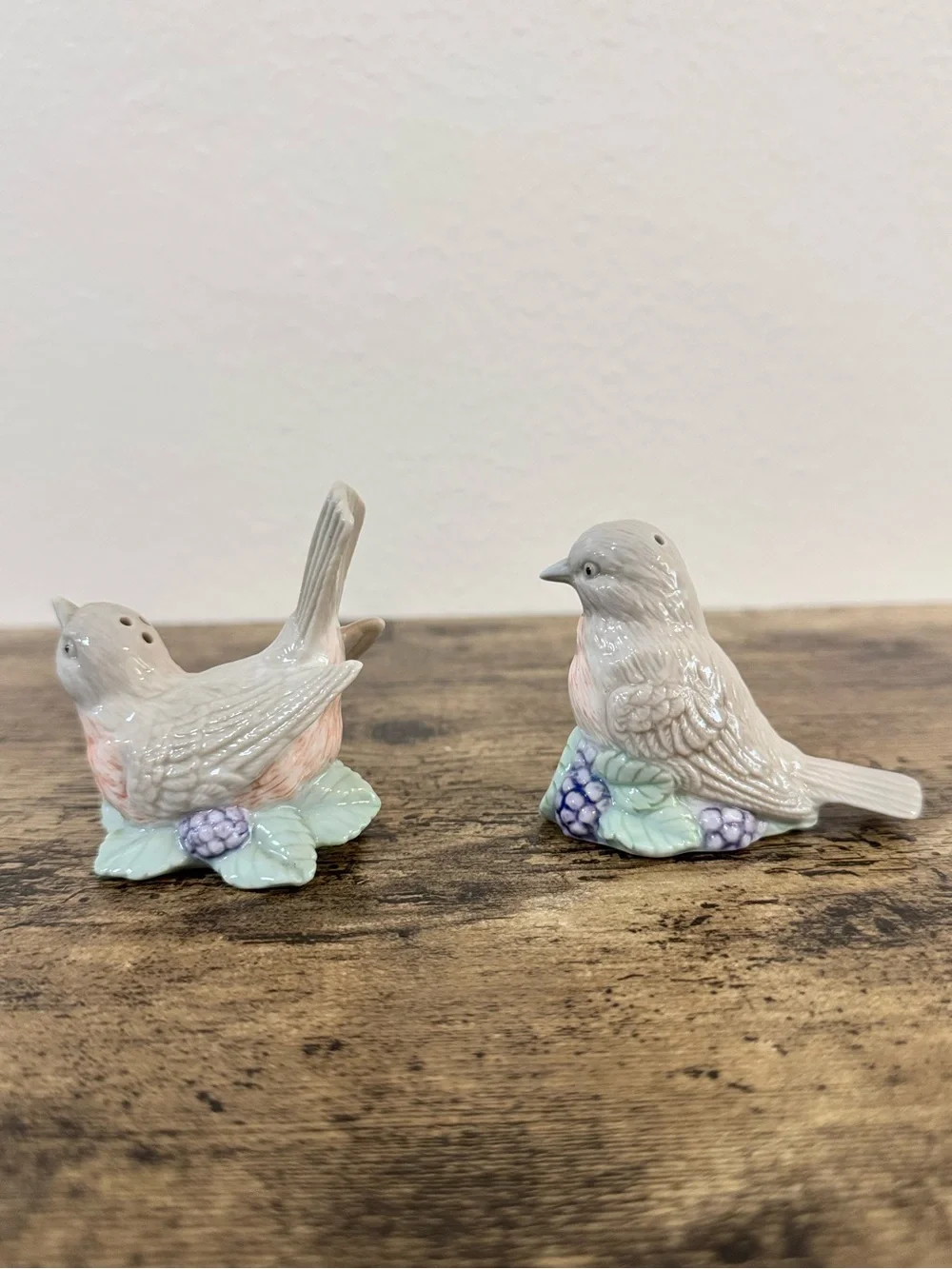 Vintage Bird Salt & Pepper Shakers | Porcelain Floral Berry
